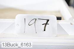13buck_6163 proof
