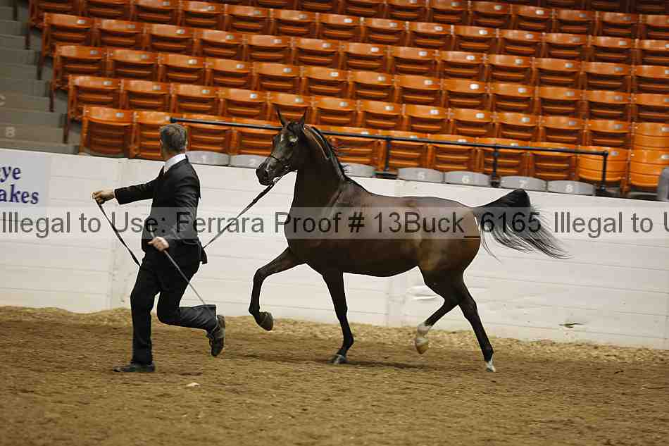 Proof 13buck_6165