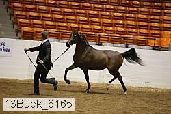 13buck_6165 proof