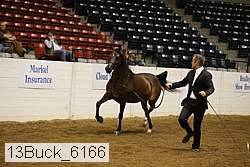 13buck_6166 proof