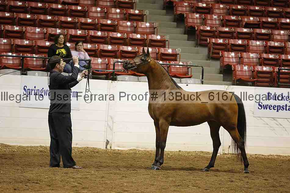 Proof 13buck_6167