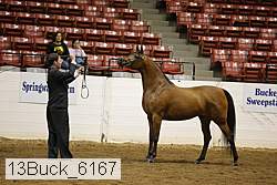 13buck_6167 proof
