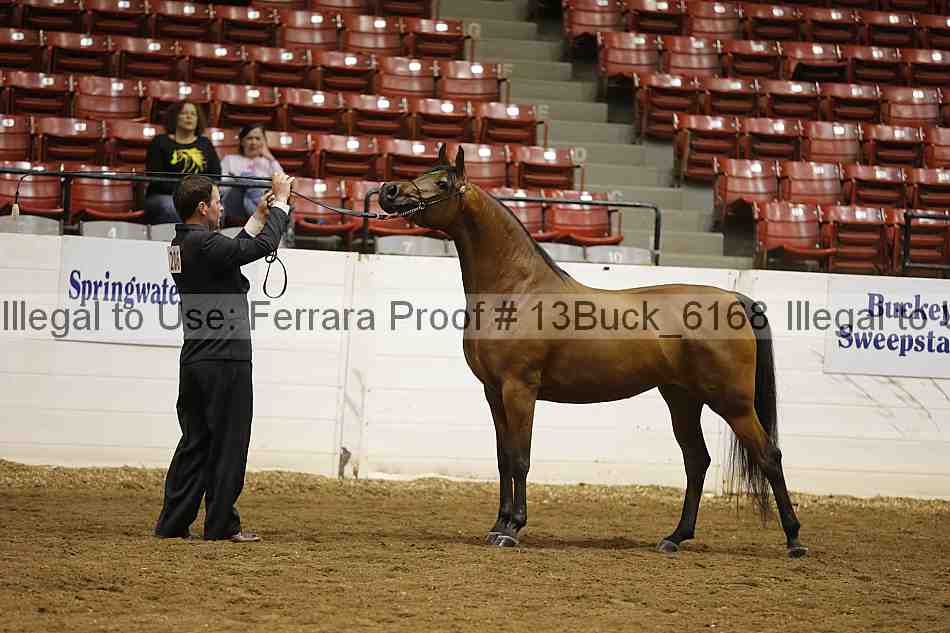 Proof 13buck_6168
