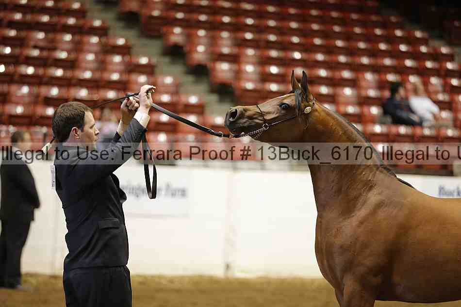 Proof 13buck_6170