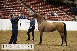 13buck_6171 proof
