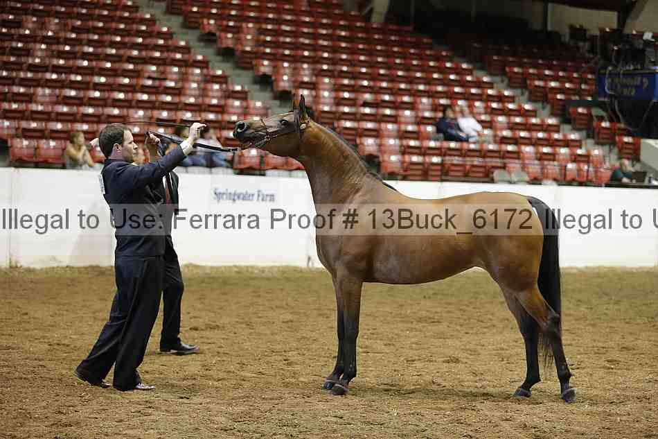 Proof 13buck_6172