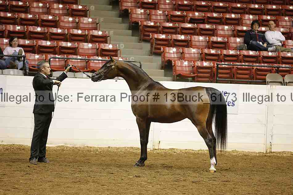 Proof 13buck_6173