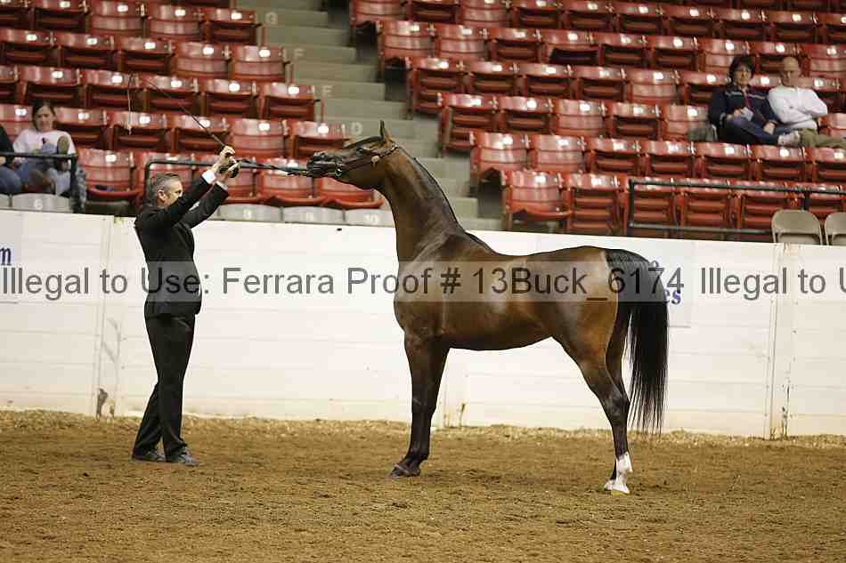 Proof 13buck_6174