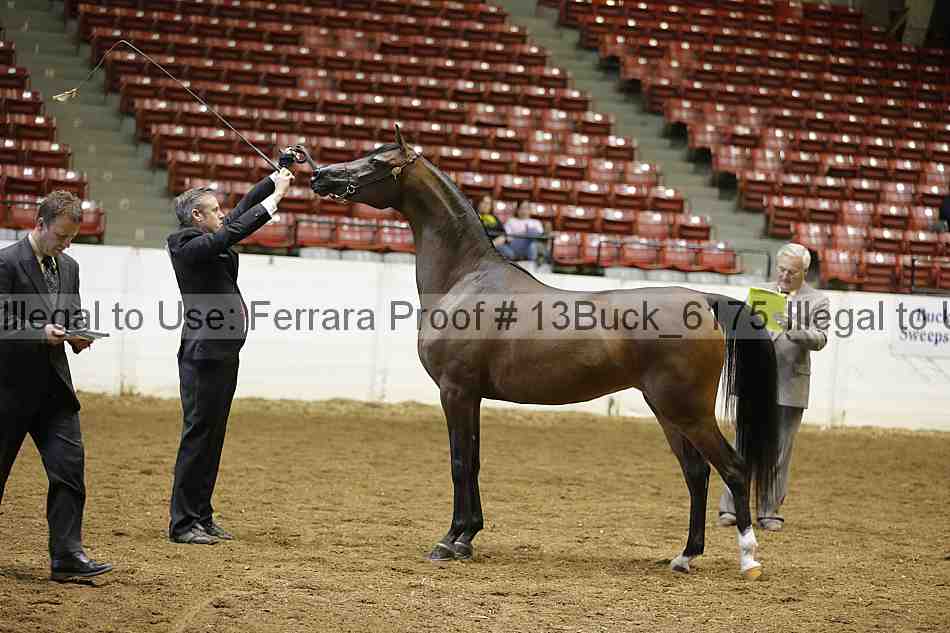 Proof 13buck_6175
