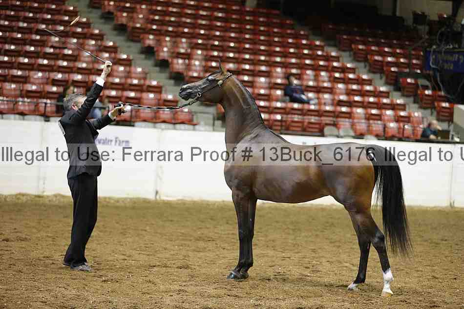 Proof 13buck_6176