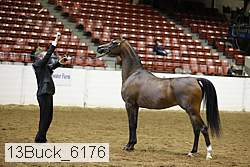 13buck_6176 proof