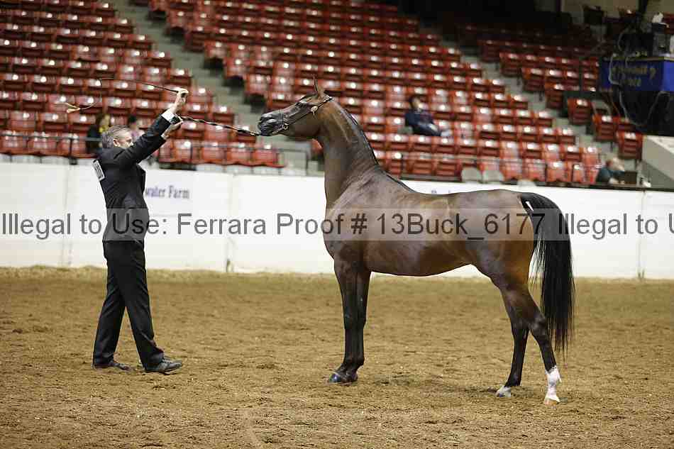 Proof 13buck_6177