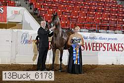 13buck_6178 proof