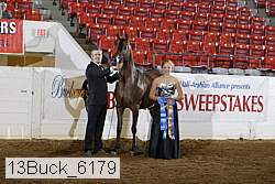 13buck_6179 proof