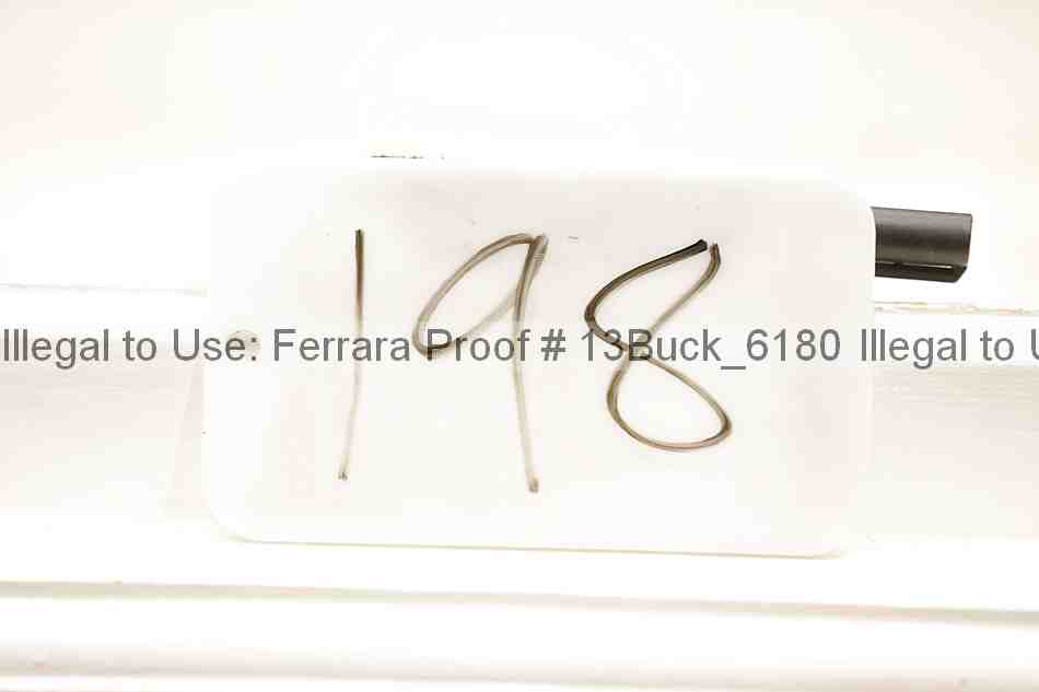 Proof 13buck_6180
