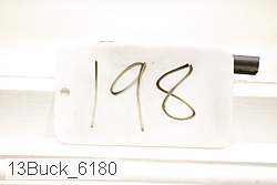 13buck_6180 proof