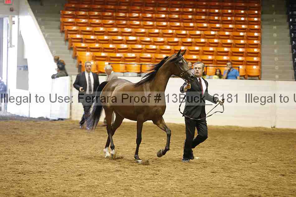Proof 13buck_6181
