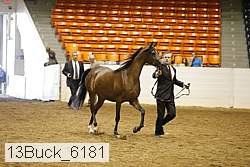 13buck_6181 proof