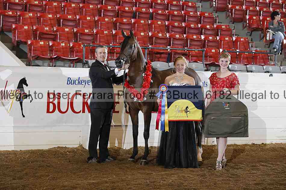 Proof 13buck_6182