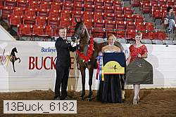 13buck_6182 proof