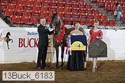 13buck_6183 proof