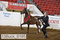 13buck_6185 proof