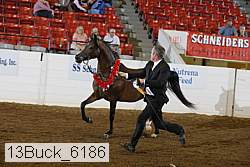 13buck_6186 proof
