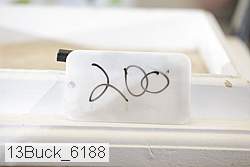 13buck_6188 proof