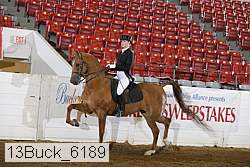13buck_6189 proof