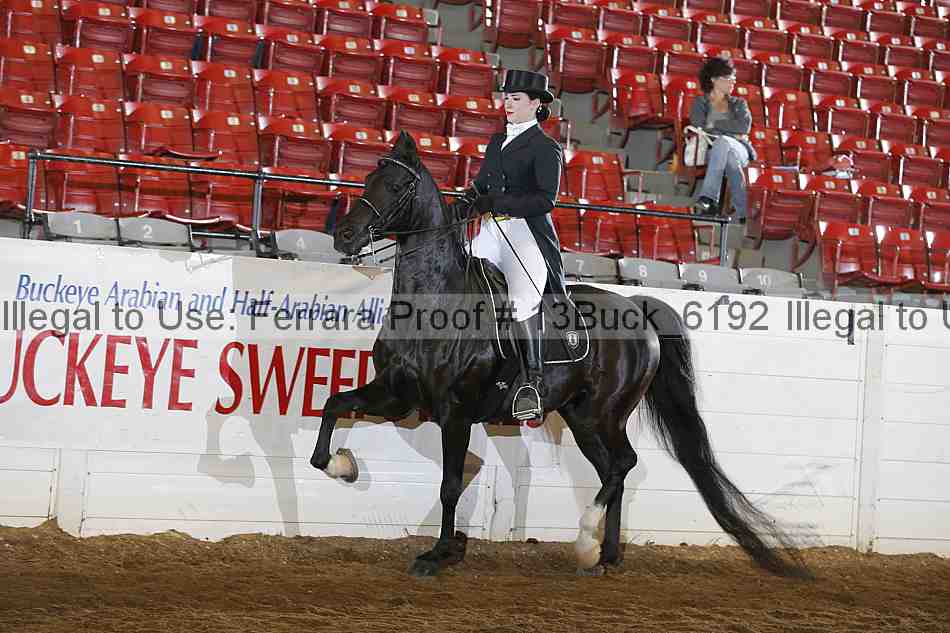 Proof 13buck_6192