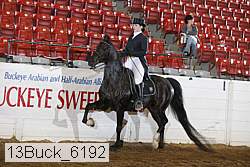 13buck_6192 proof