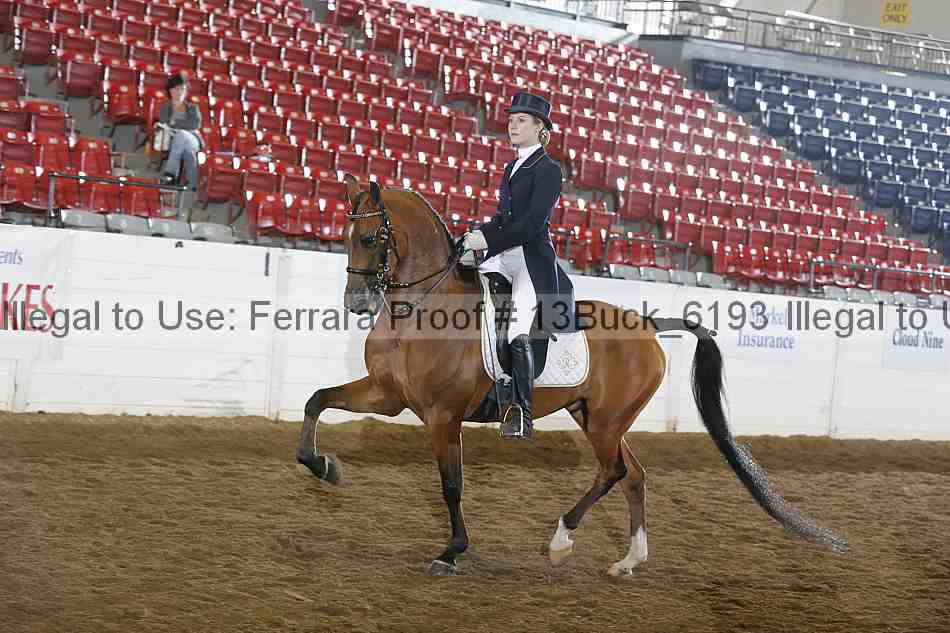 Proof 13buck_6193