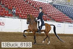 13buck_6193 proof