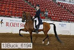 13buck_6194 proof