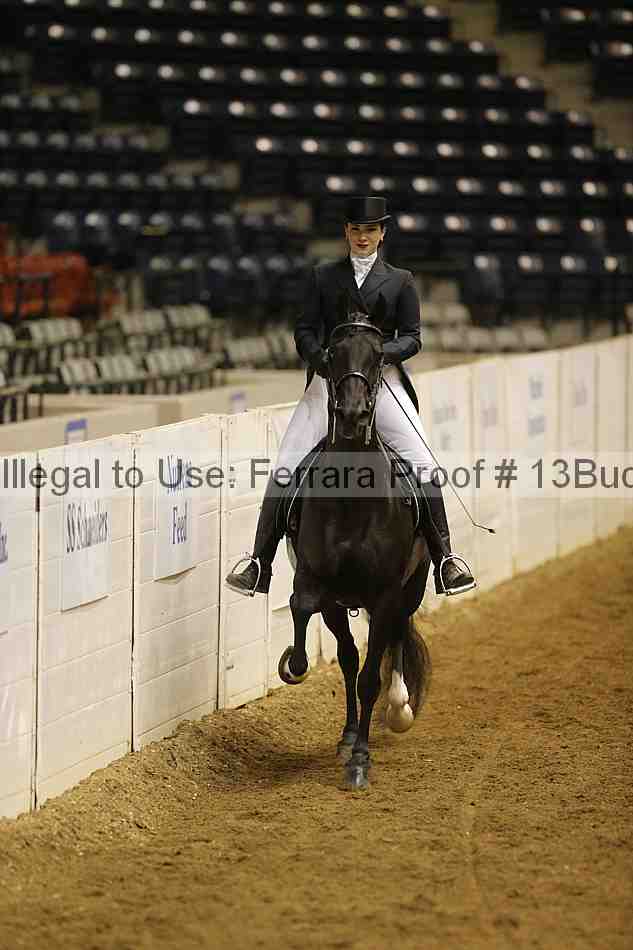 Proof 13buck_6195