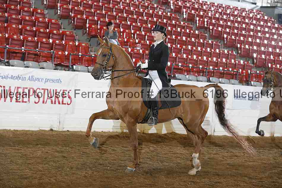 Proof 13buck_6196