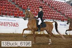 13buck_6196 proof