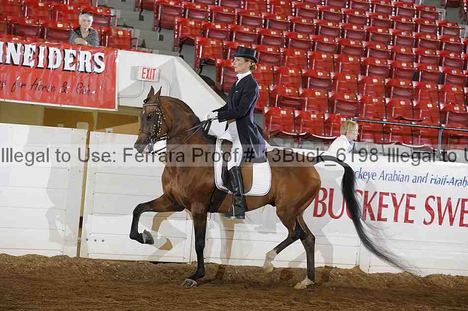 Proof 13buck_6198