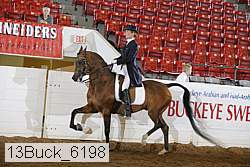 13buck_6198 proof