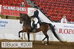 13buck_6200 proof