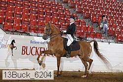 13buck_6204 proof