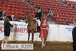 13buck_6205 proof