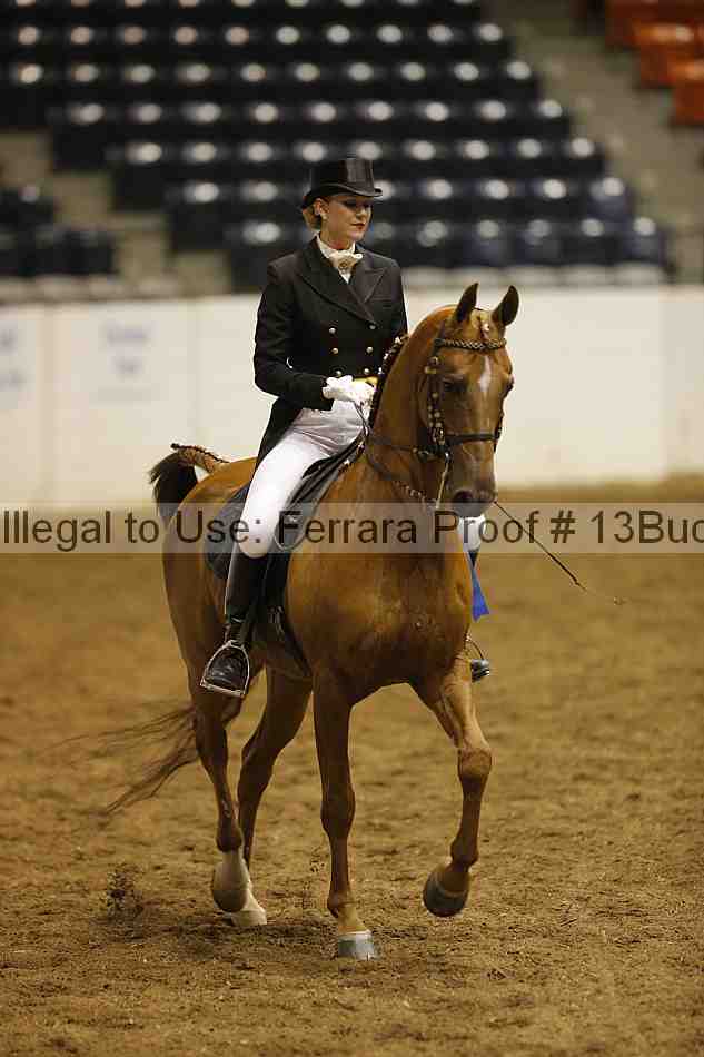 Proof 13buck_6206