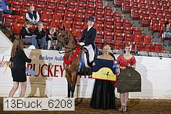 13buck_6208 proof