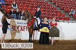 13buck_6209 proof