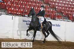 13buck_6213 proof