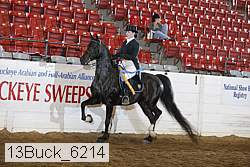 13buck_6214 proof