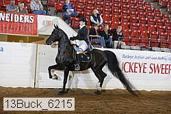 13buck_6215 proof