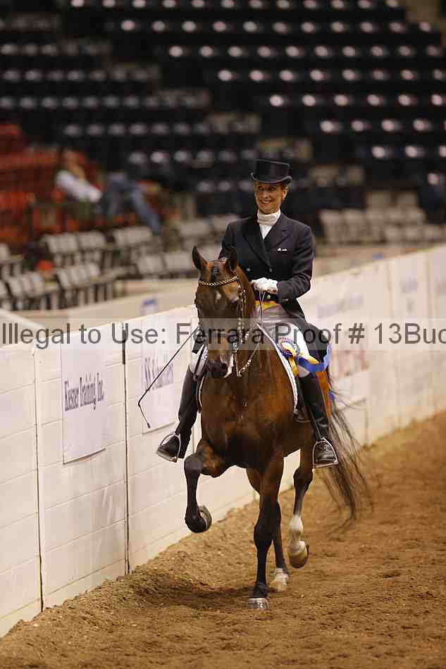 Proof 13buck_6219
