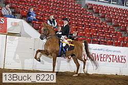 13buck_6220 proof